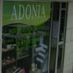 Adonia Tours