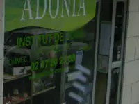 Adonia Tours